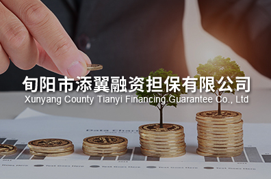 添翼融资担保有限公司